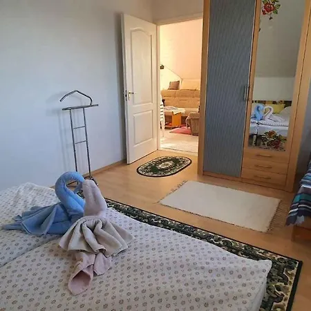 Apartament In 43404 *