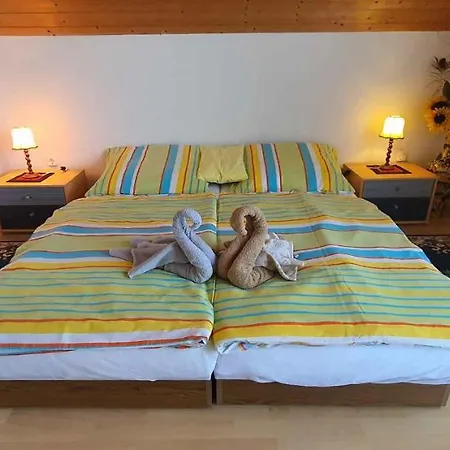 Apartament In 43404 *